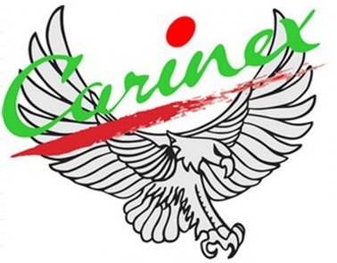 Carinex logo